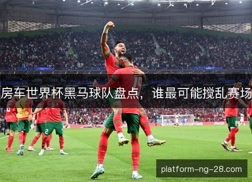 房车世界杯黑马球队盘点，谁最可能搅乱赛场