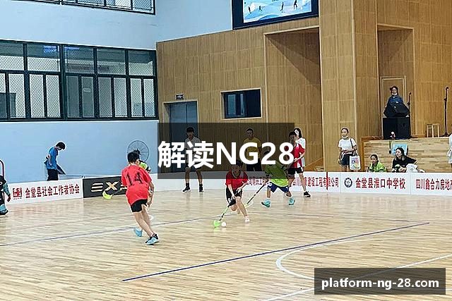 解读NG28